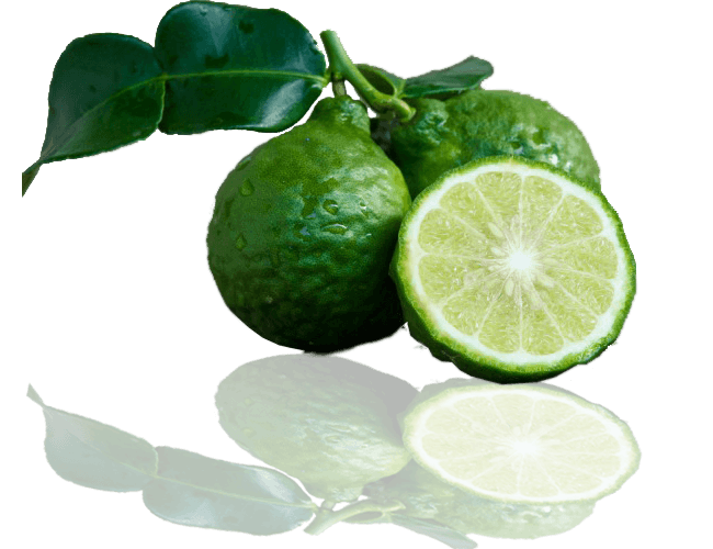 Bergamot oil