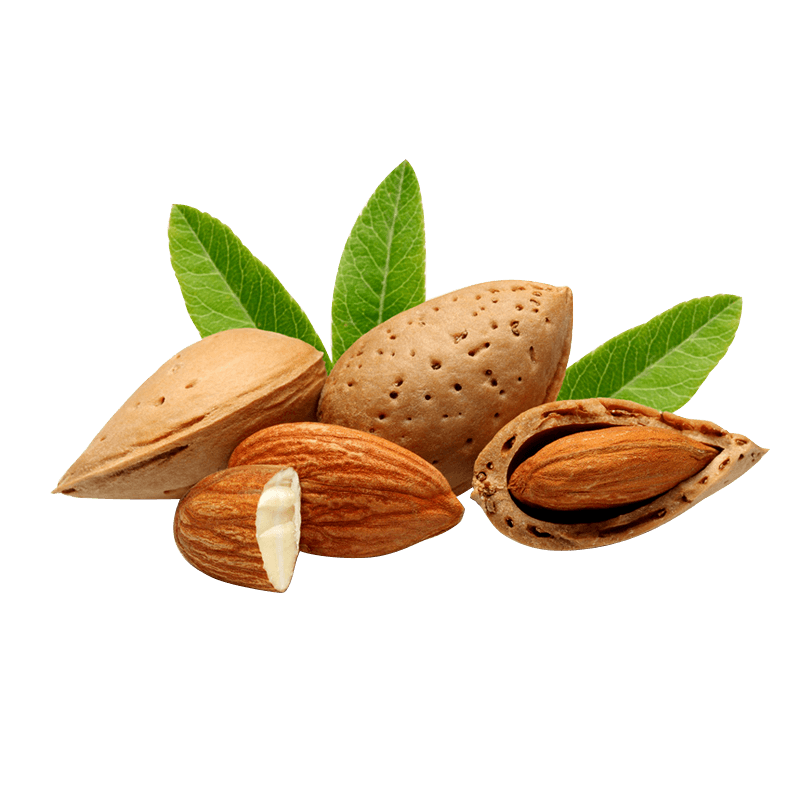 Almond Oil