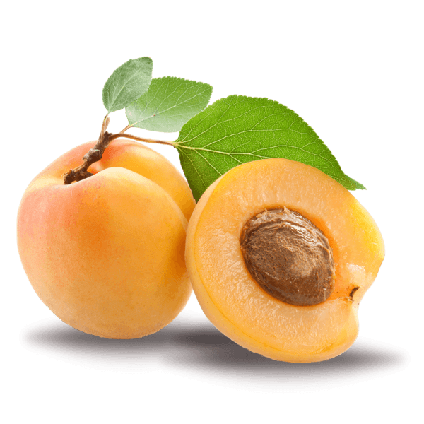 Apricot Oil