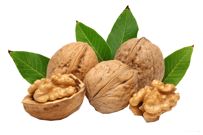 Walnut Oil