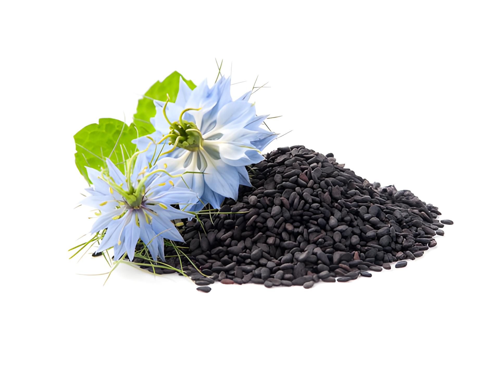 Black Seed Oil /Kalonji Oil